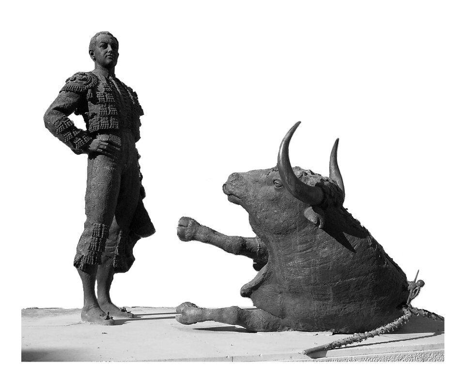 Joselito the rooster bullfighting