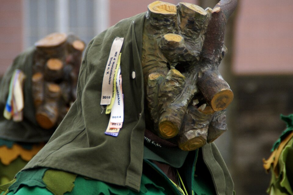 Fool haestraeger carnival