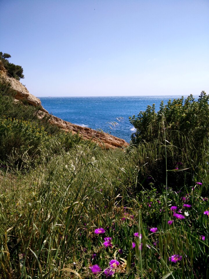 Side landscape sea