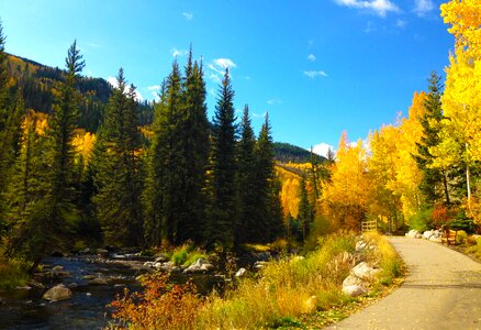 Fall creek season