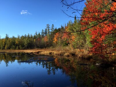Water landscape autumn photo