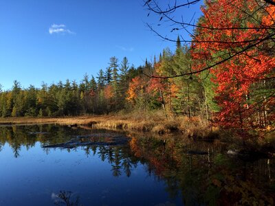 Water landscape autumn