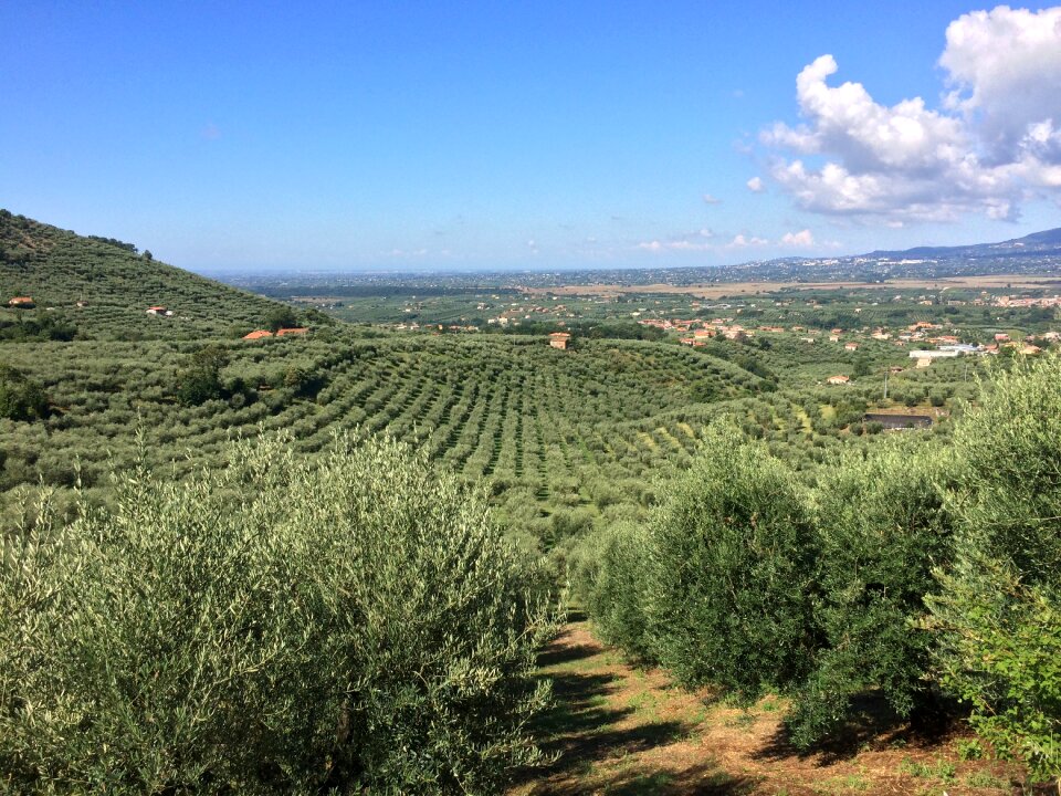 Rocca massima garden gliculture