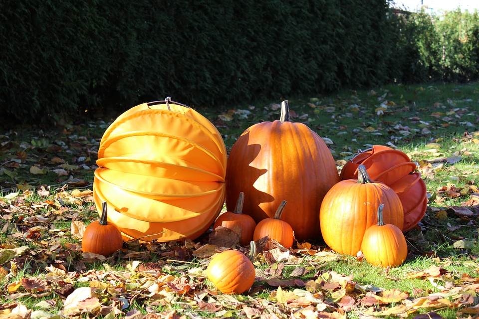 Pumpkins pumpkin autumn decoration