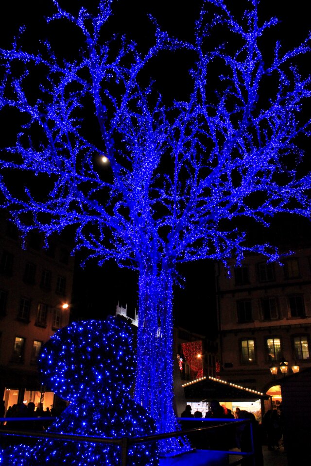 Tree led blue