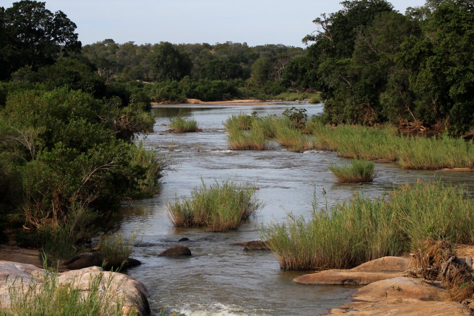 Water natural wilderness