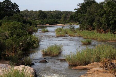 Water natural wilderness