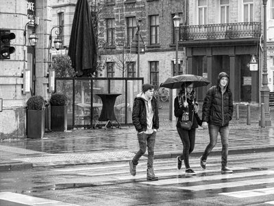 Umbrella antwerp city photo