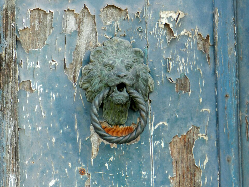 Knocker lion brass