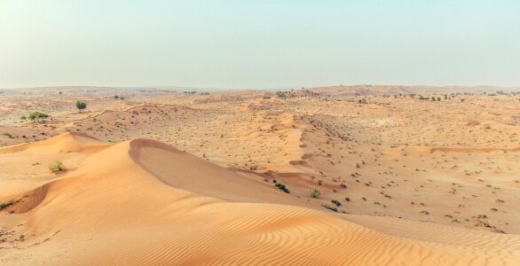 Dune emirates nature