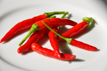 Tomato meal cuisine