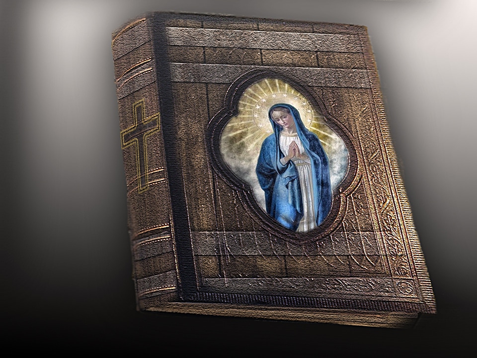 Holy bible the holy book