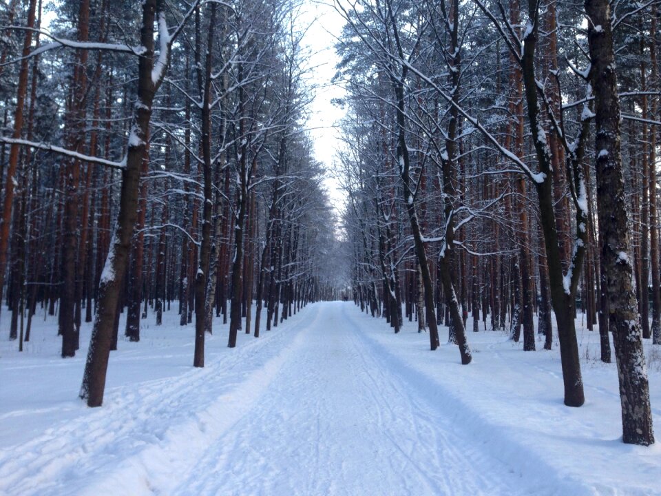 Road cold city park
