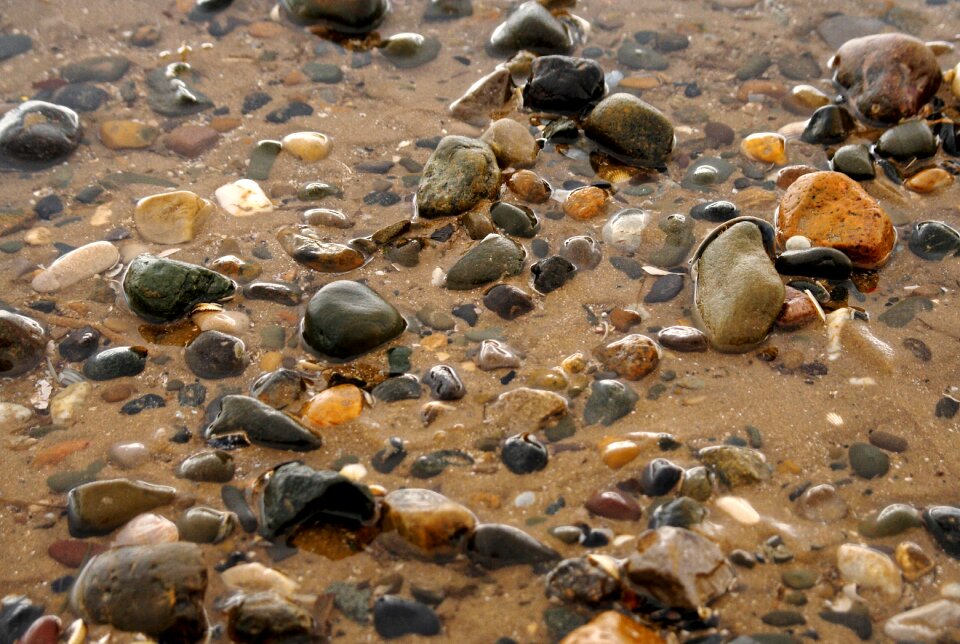 Water sea coast
