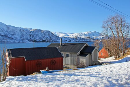 Sea fjord snow photo