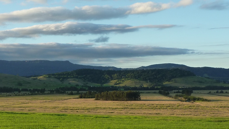 Field rural meadow photo