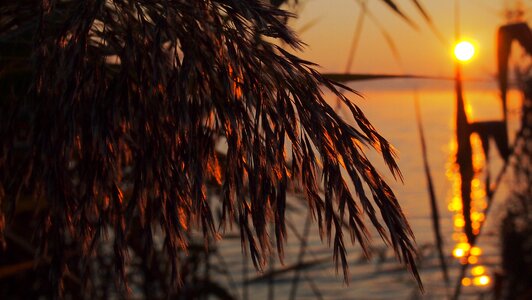 Lake sunrise morning
