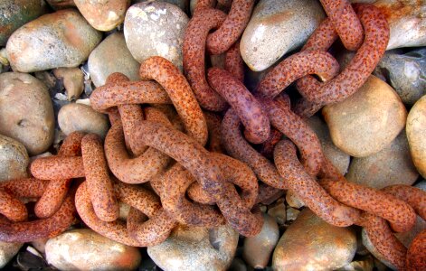 Pebbles corroded chain link photo