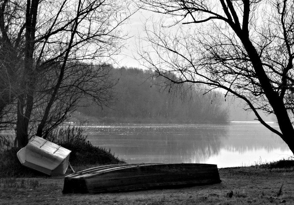 Landscape backwater nature