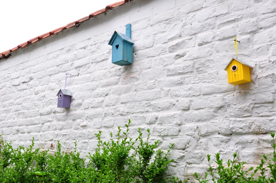 Triangular composition birdhouse buxus