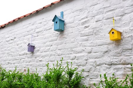 Triangular composition birdhouse buxus