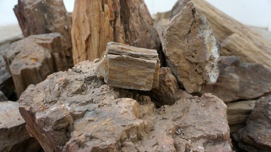 Ancient by nature nature