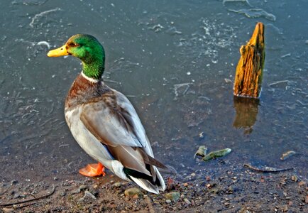 Cold nature water