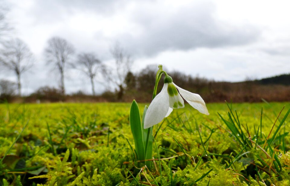 Nature spring luxembourg
