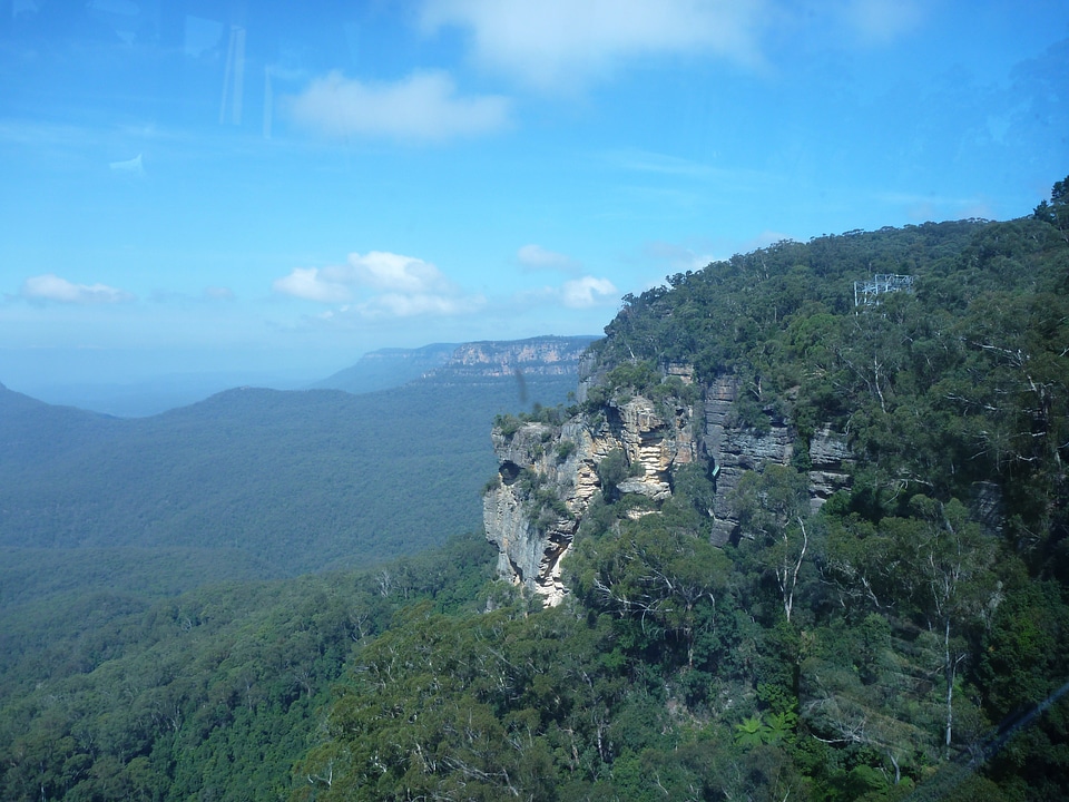 New south wales forest landscape