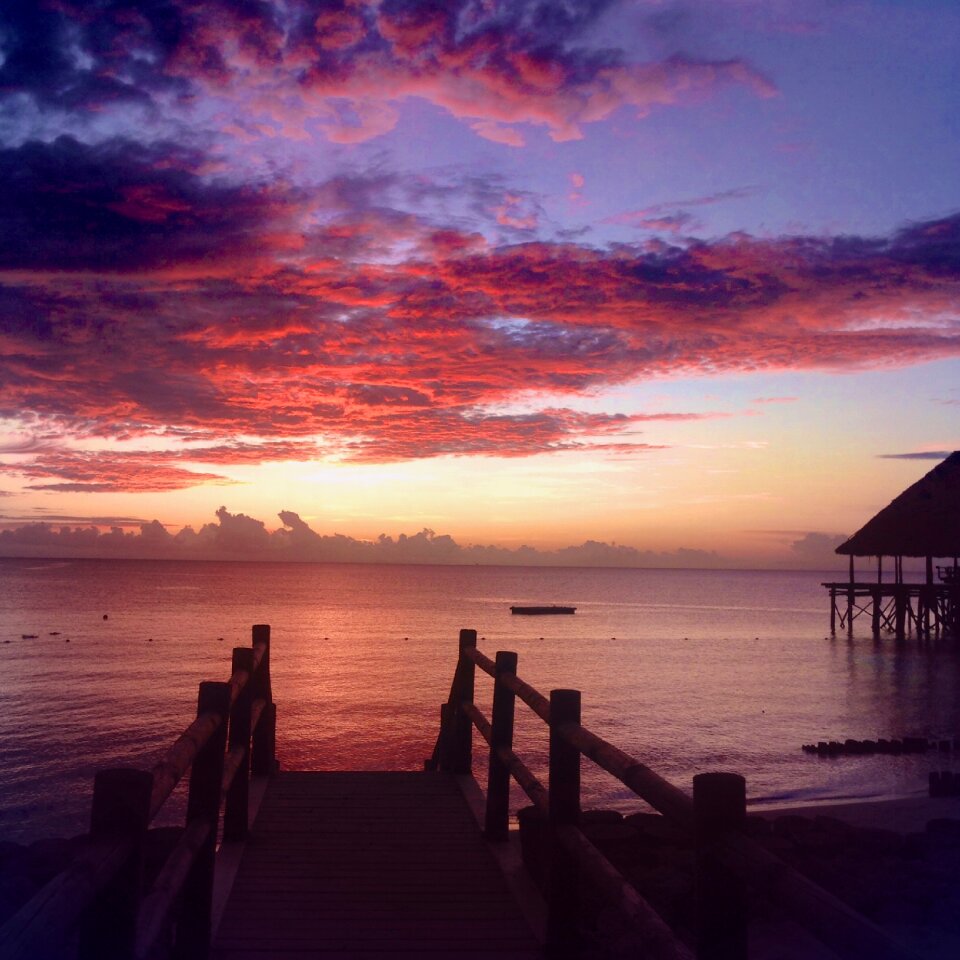 Relax the sunset pink sky
