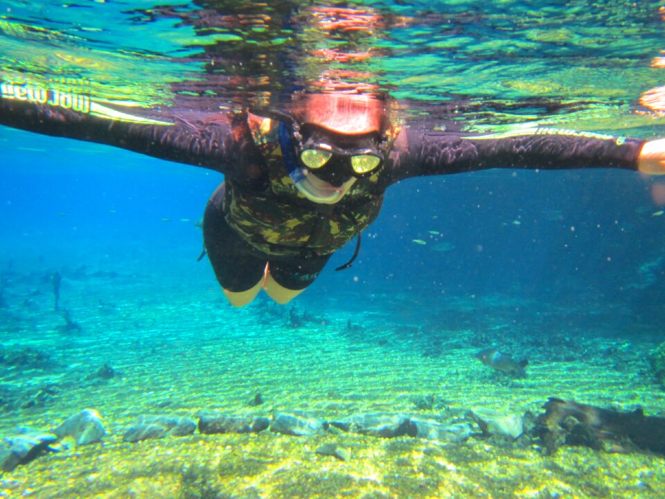 Diving fluctuation nature