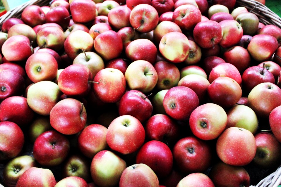 Fruit thanksgiving autumn