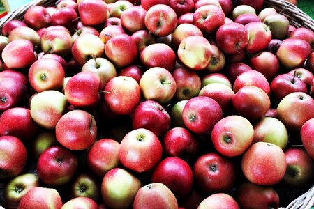 Fruit thanksgiving autumn