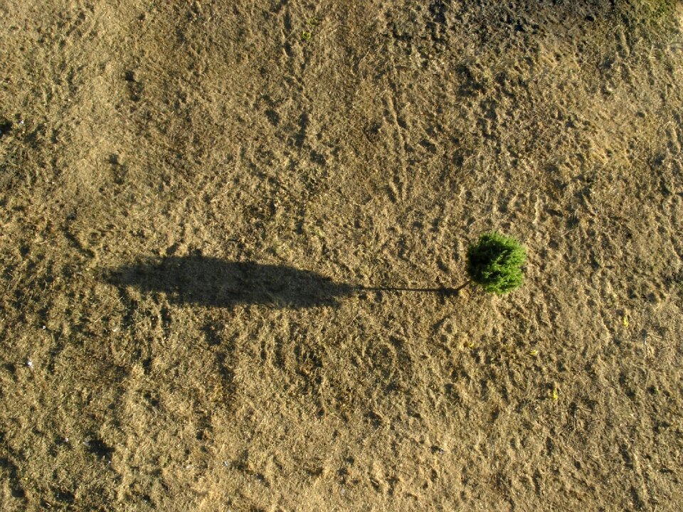 Landscape peace drying