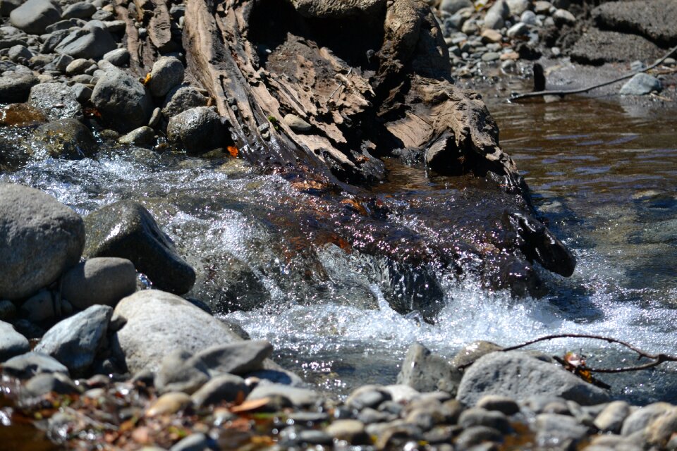 Rocks landscape vegetation