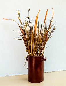 Dried flowers bouquet clay pot