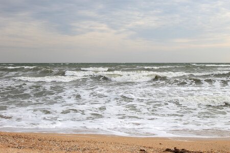 Seashells summer sea of ​​azov