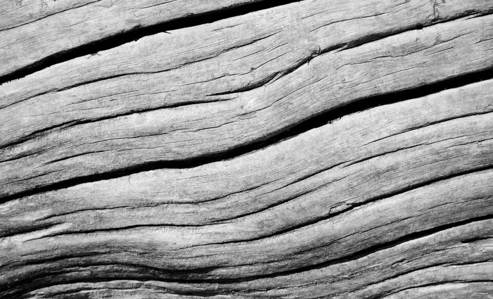 Wood texture pine mountains