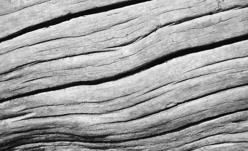 Wood texture pine mountains