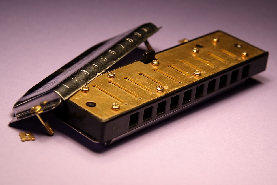 Musical instrument open inside