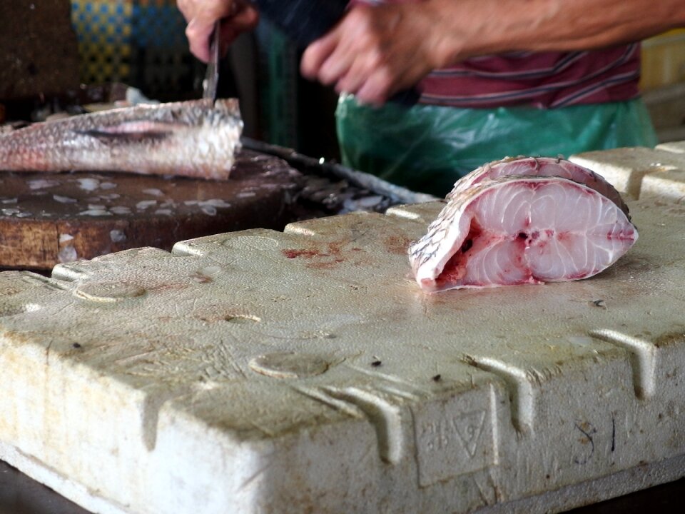Kitchen eat alimentari