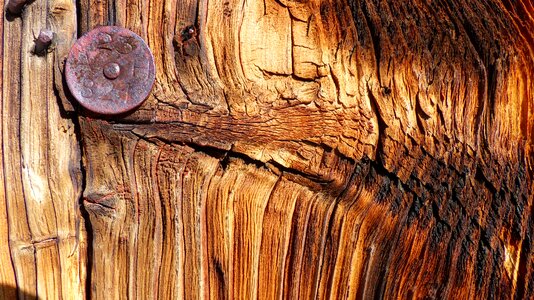 Detail nail old board photo