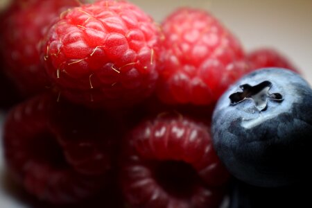 Berries fruits healthy