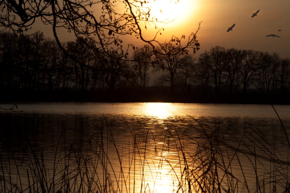Nature romance water