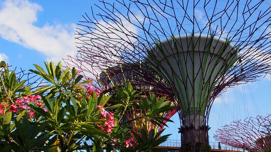 Marina bay botanic gardens photo