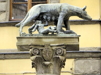 She wolf romulus remus