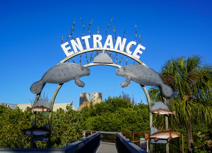 Florida nature tropical