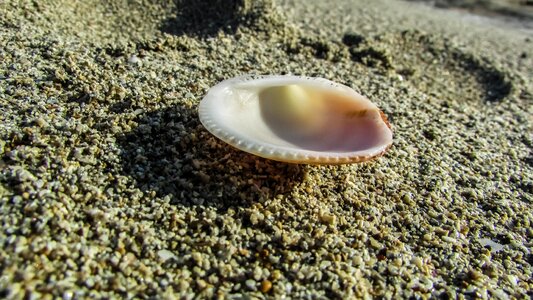 Nature beach