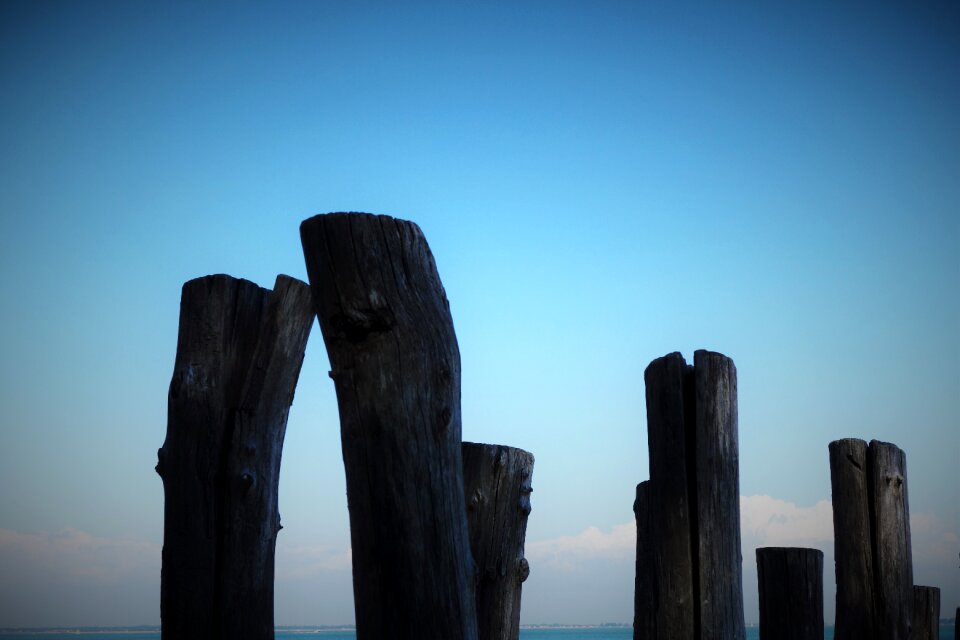 Wood driftwood sunset