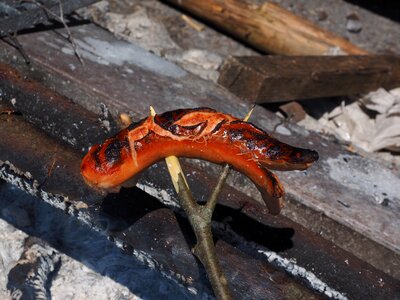 Sausage grill sizzle photo